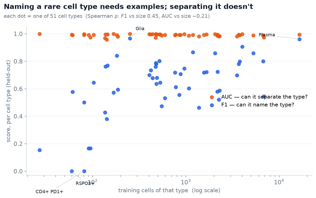 Per-cell-type F1 and AUC versus the number of training cells: F1 rises with sample size while AUC stays near 1.0 for every type