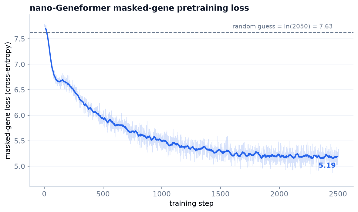 Masked-gene training loss starting just above chance (the dashed line at ln(2050) ≈ 7.63) and falling to about 5.19 over two epochs of a tiny Geneformer BERT