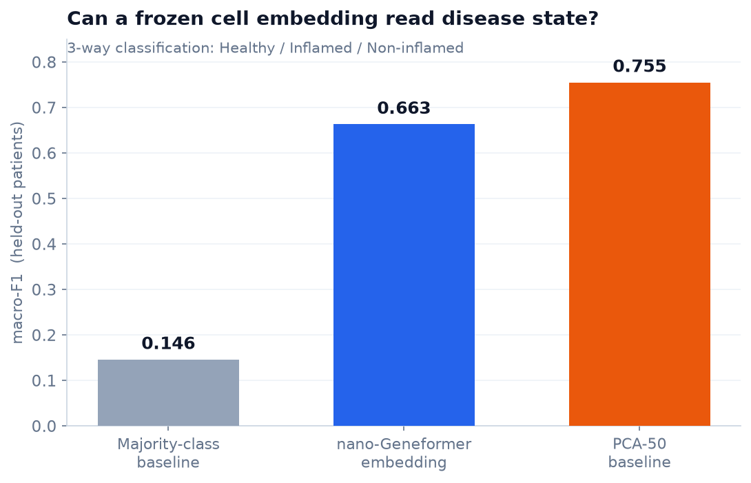 Disease-state macro-F1 on held-out patients: a majority-class floor 0.146, the frozen nano-Geneformer embedding 0.663, and a 50-dim PCA baseline 0.755